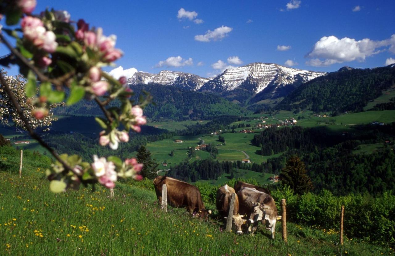 Fewo "Staufen Lodge" Оберштауфен Екстер'єр фото